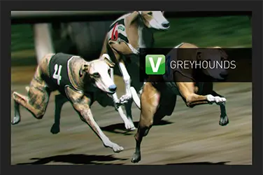 Grayhounds (V)